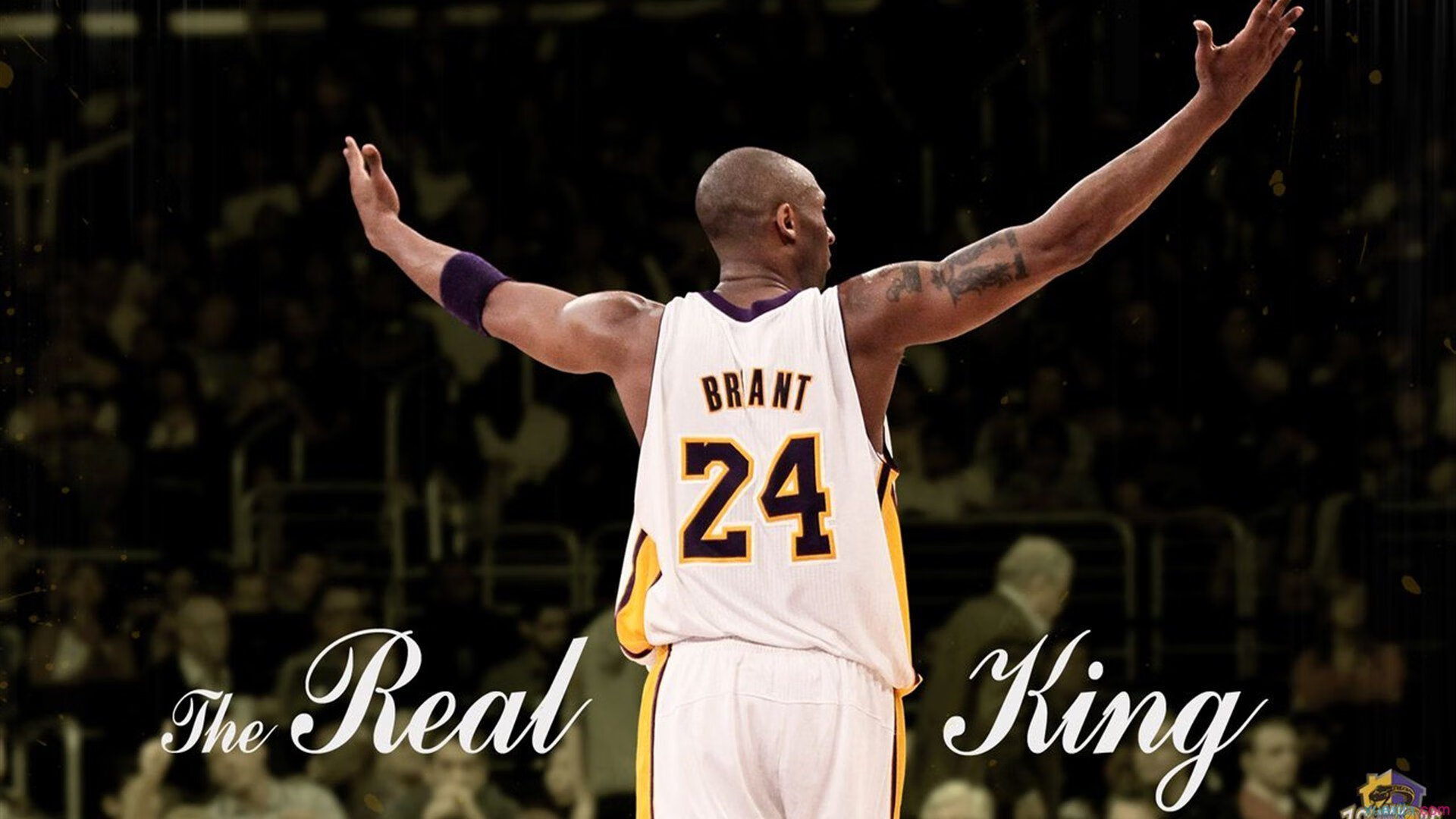 乌克兰的突围，奥运烽火中，一场超越金牌的战争